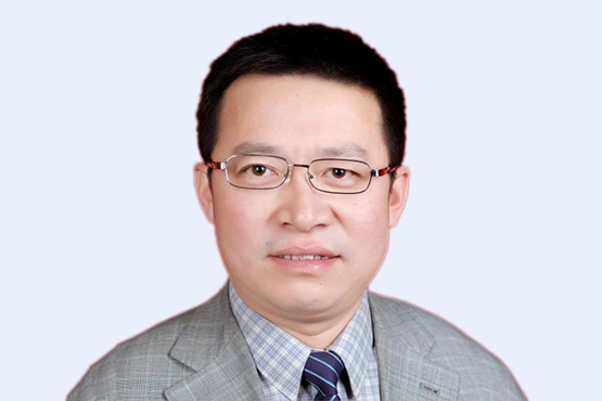 杜雷，总工程师/教授级高工